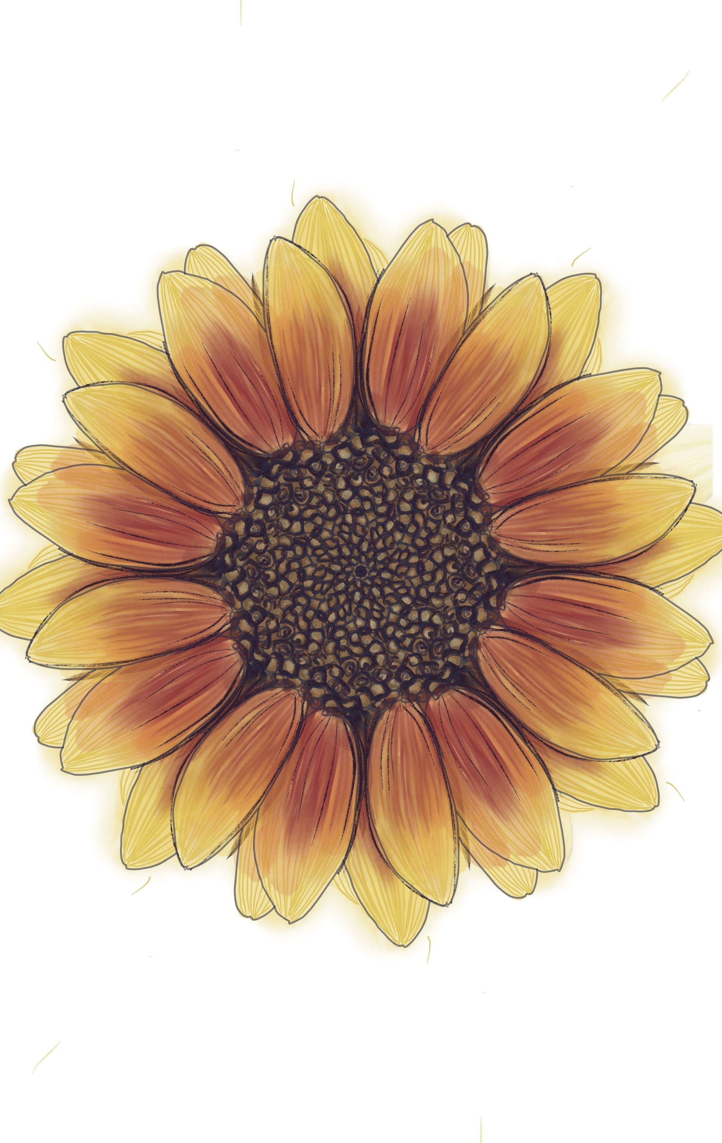 more-projects-from-class-img