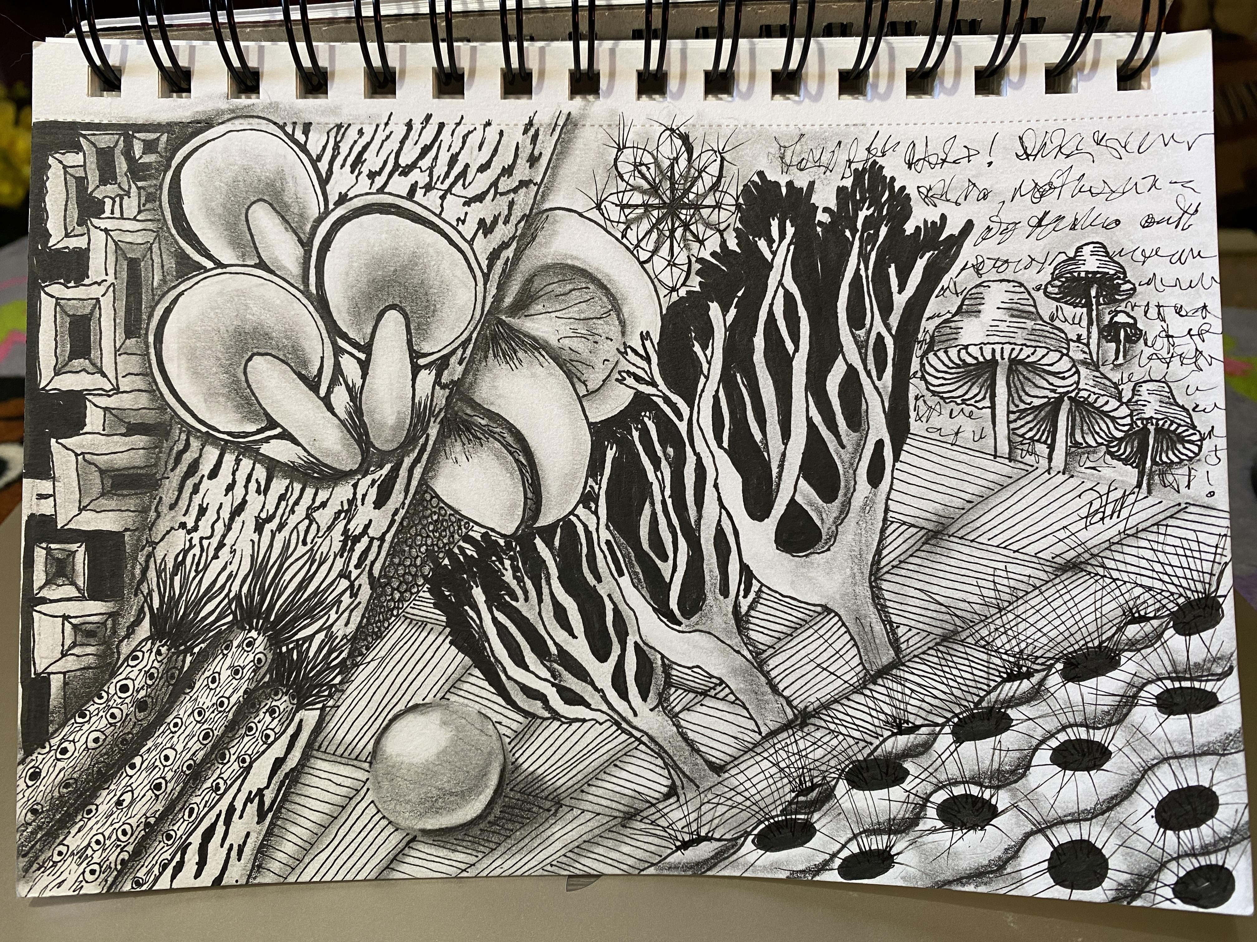 more-projects-from-class-img