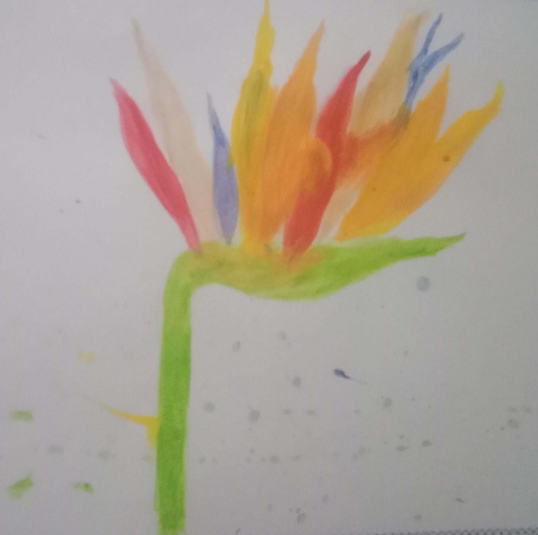 more-projects-from-class-img