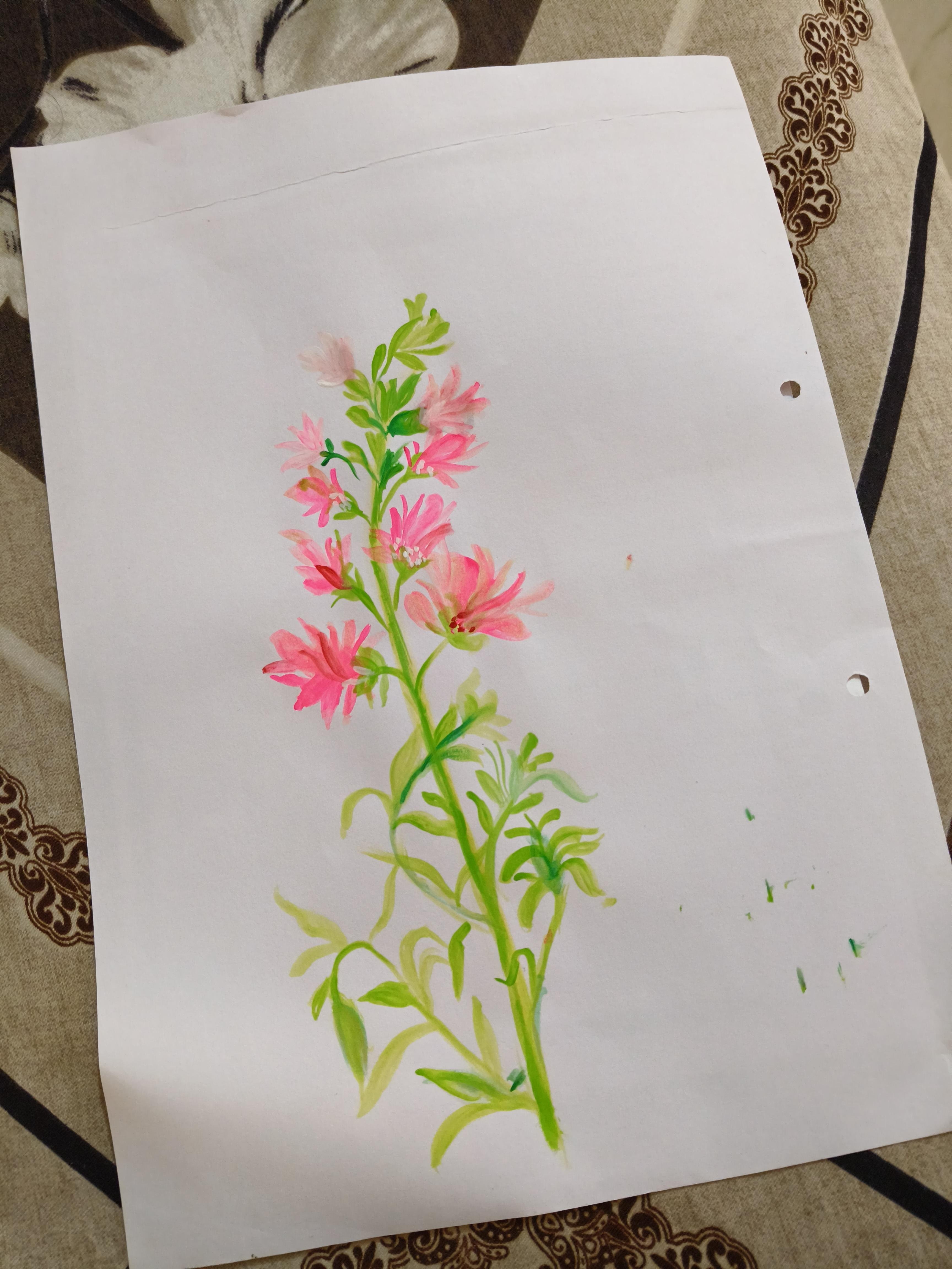 more-projects-from-class-img