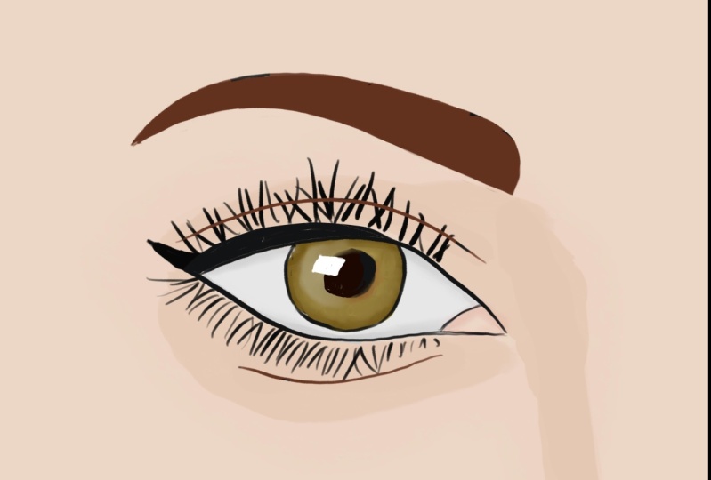 Eye