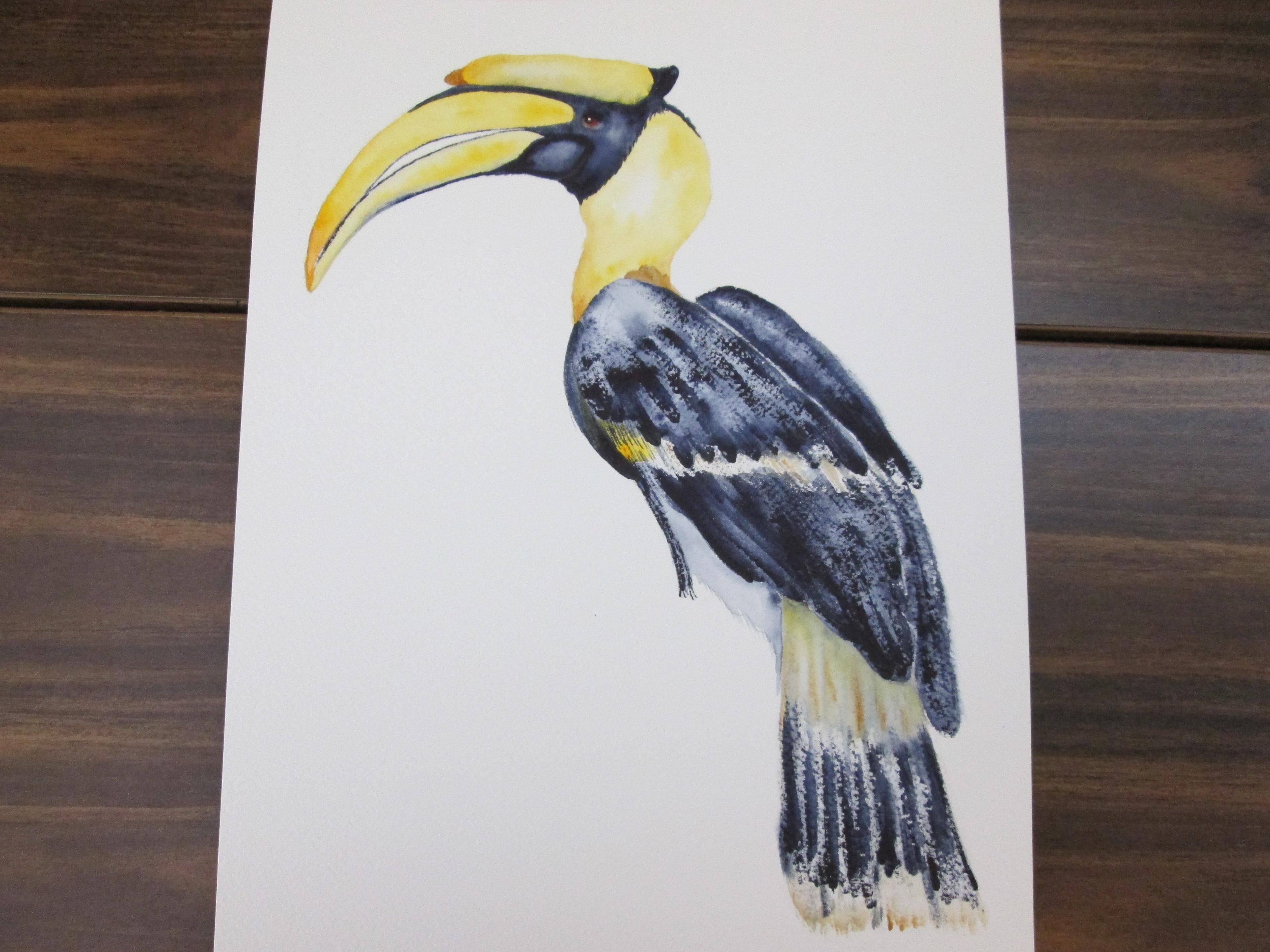 Watercolor Hornbill - student project