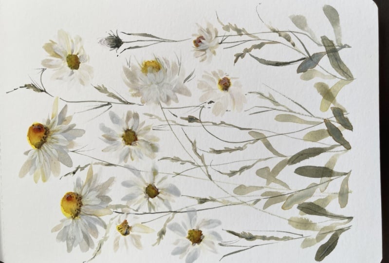 Whimsical blooms