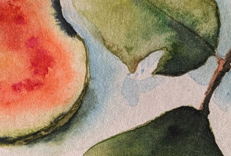 Watercolour Guava
