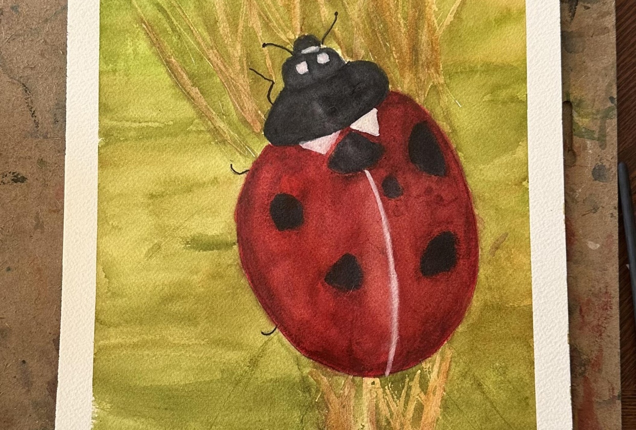 Ladybug - student project