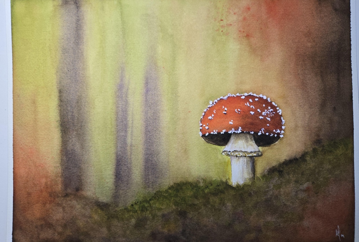 Red mushroom - student project