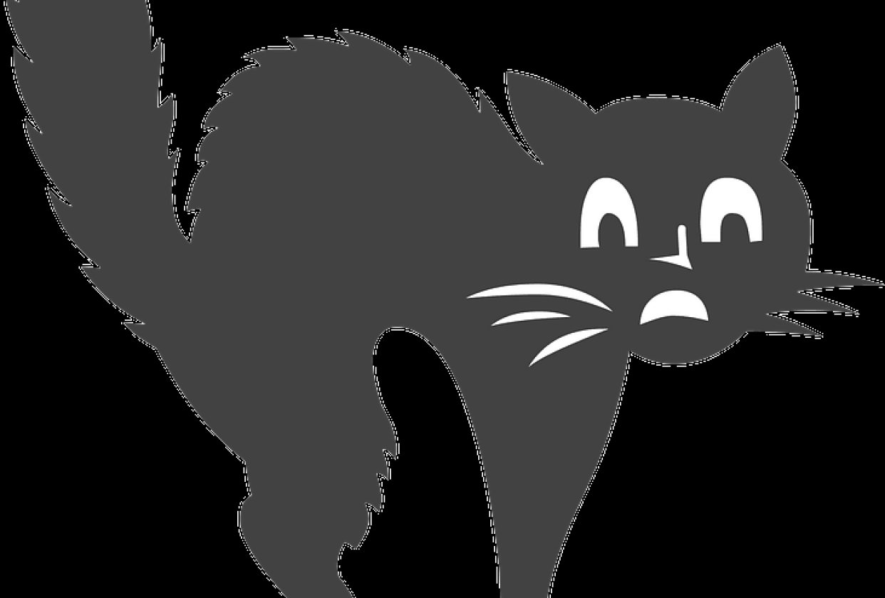 Scaredy Cat - student project
