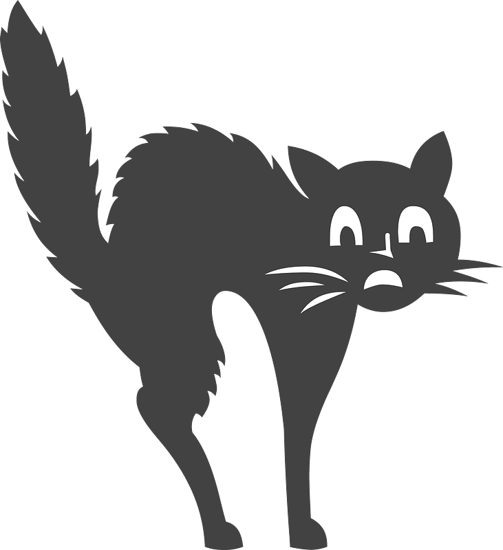 Scaredy Cat - student project