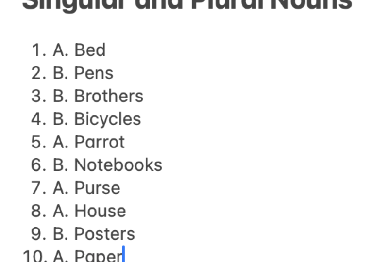Singular and Plural Nouns