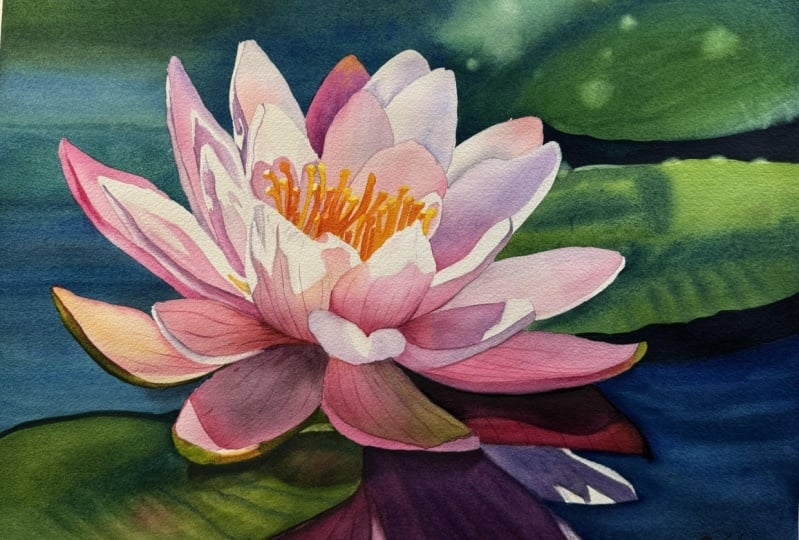 Water Lily in Watercolors