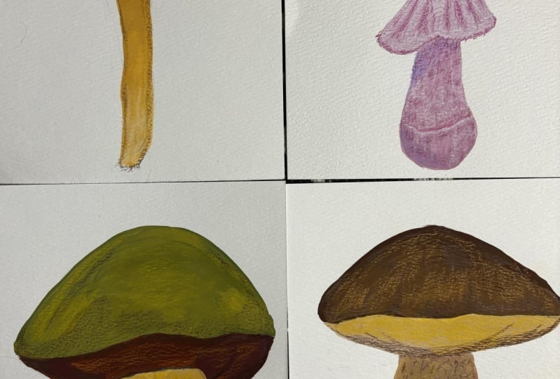 Gouache mushrooms