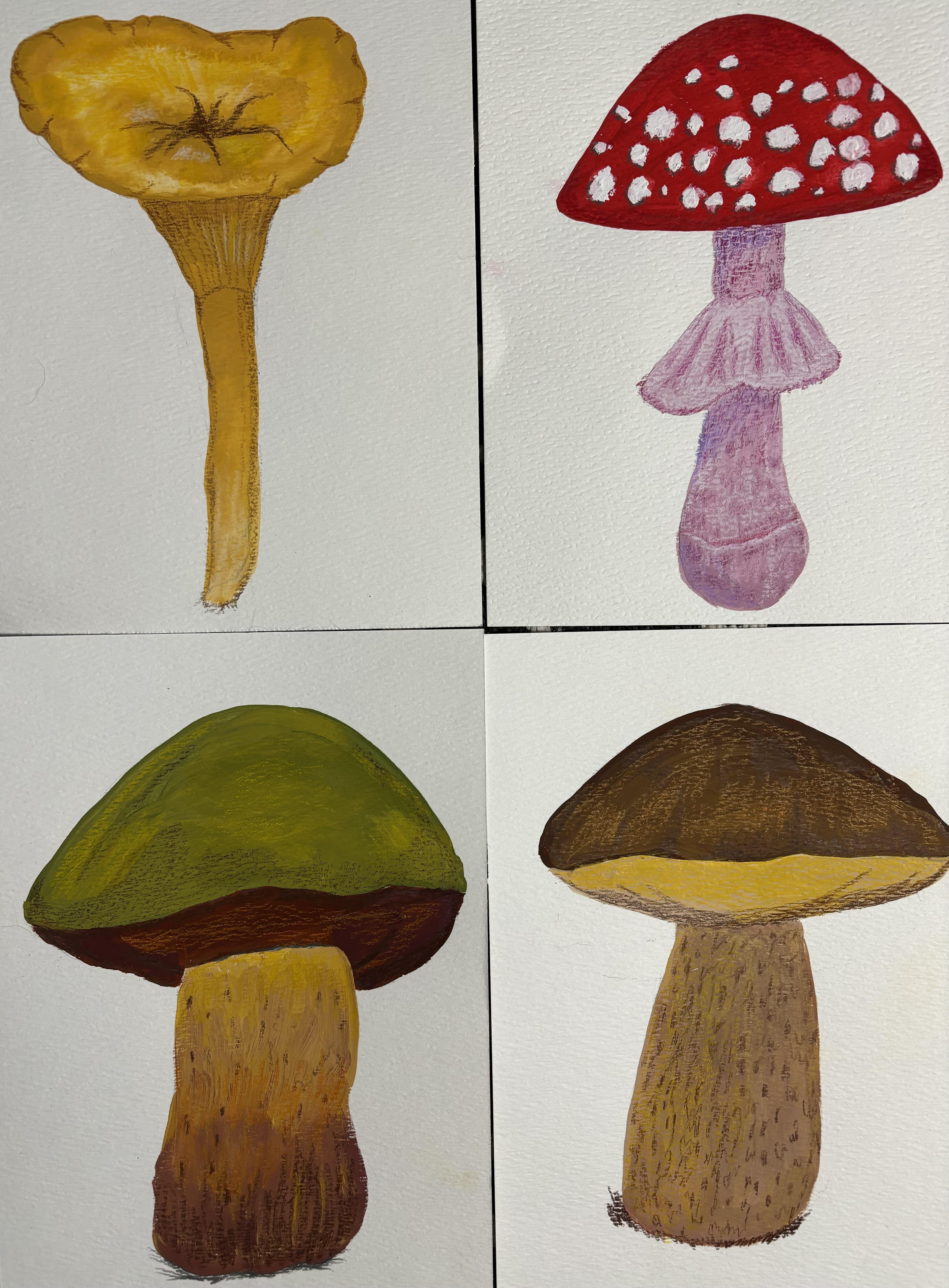 more-projects-from-class-img
