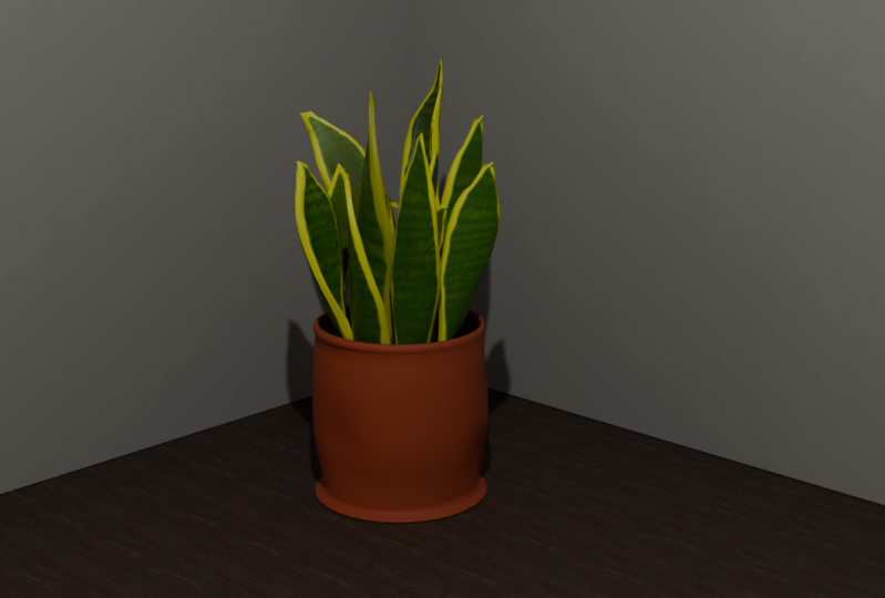 Potted Plant