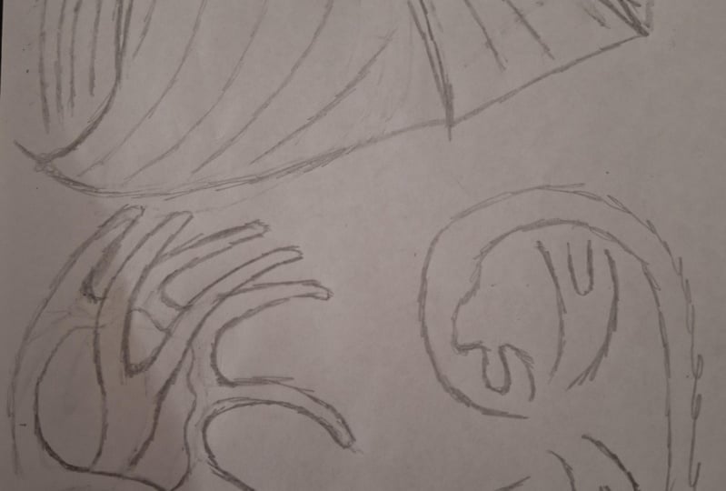 Ear Notes and Final Ears