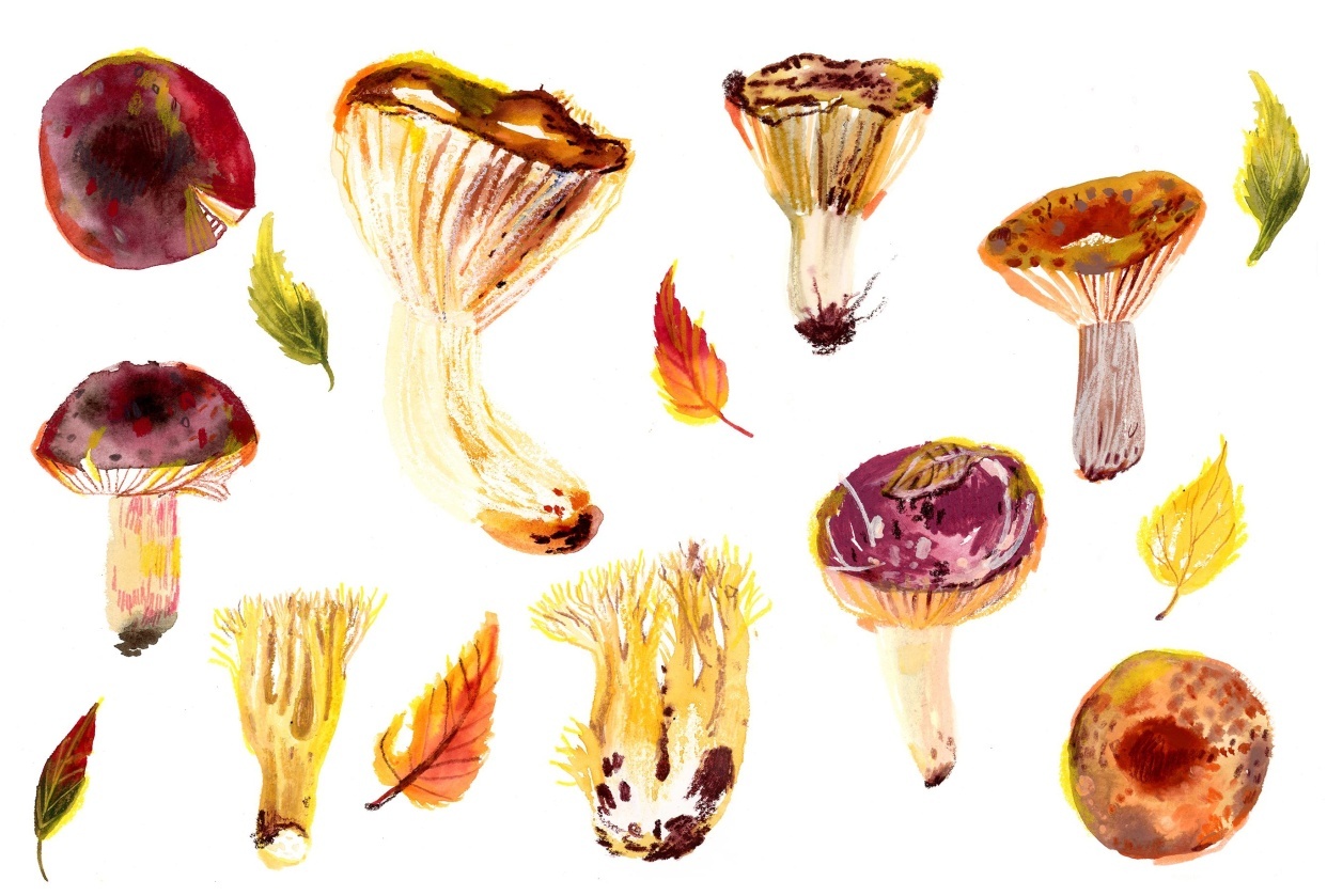 My artistic natural exploration - student project