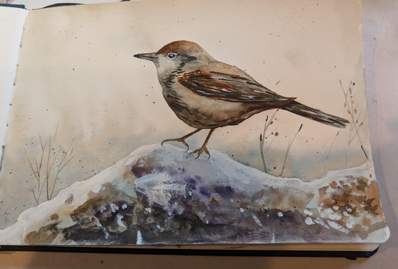Wren