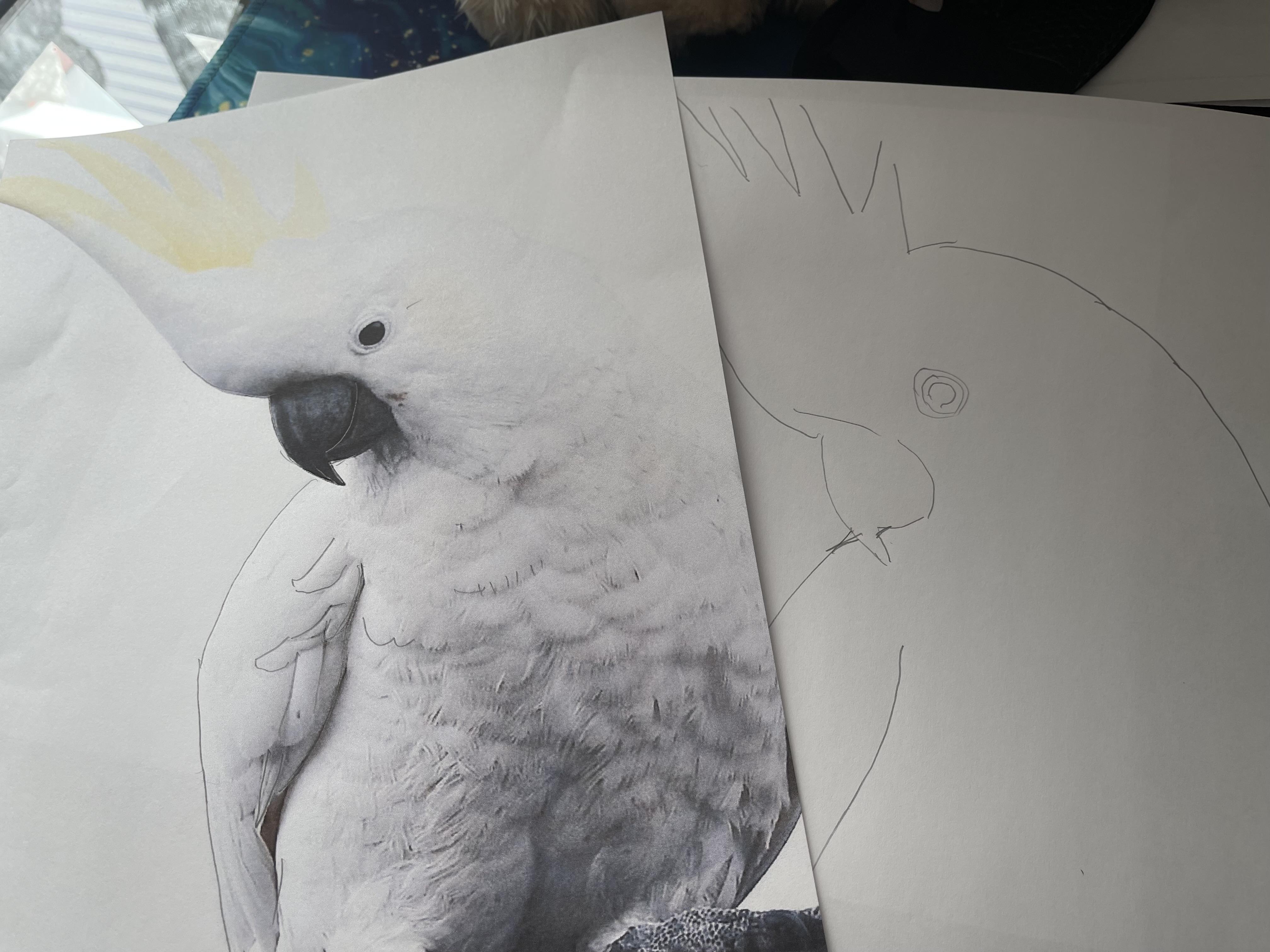 more-projects-from-class-img