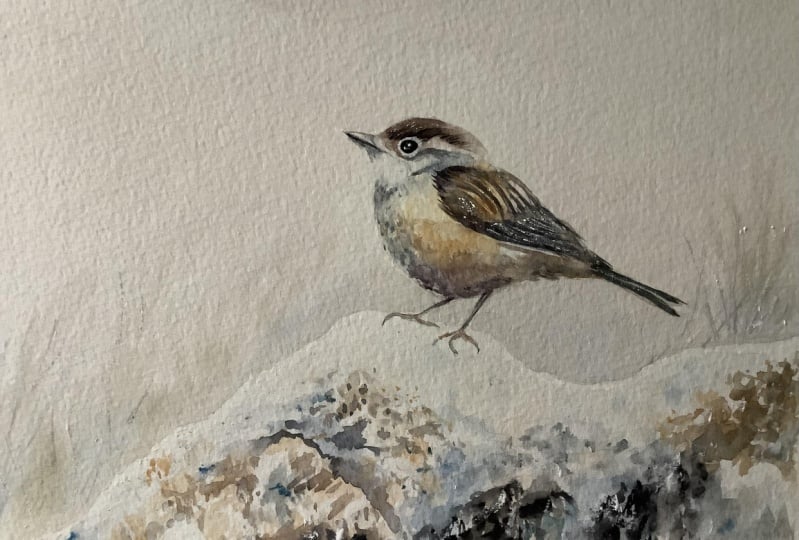 Feathers and frost tutorial