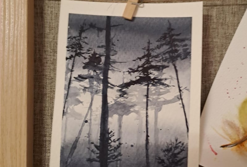 Misty forrest