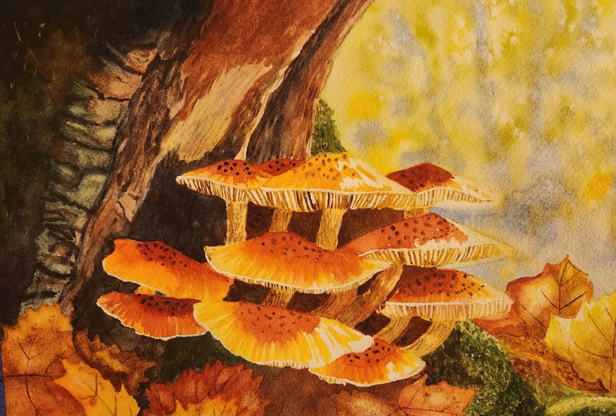Mushrooms! - student project