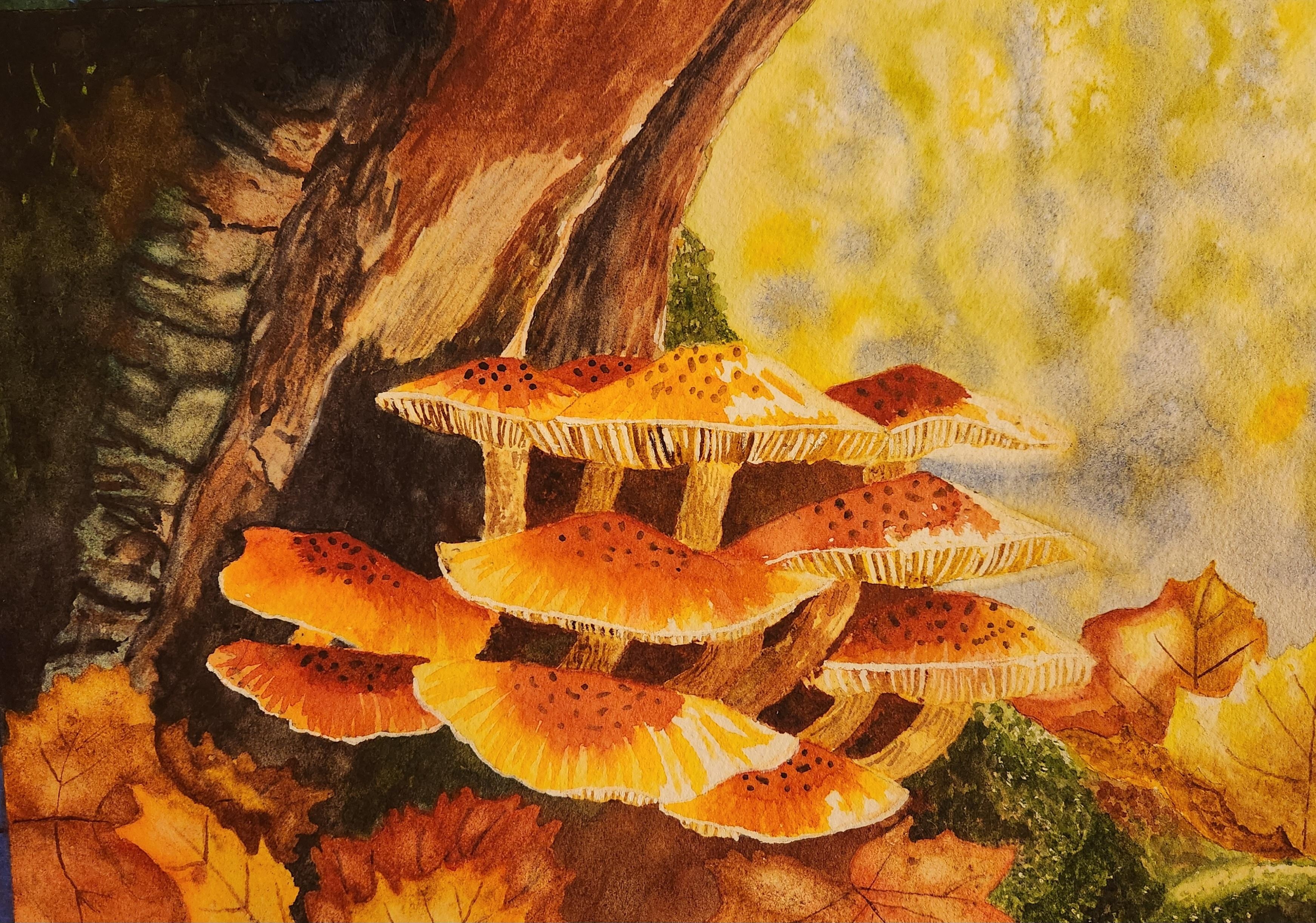 Mushrooms! - student project
