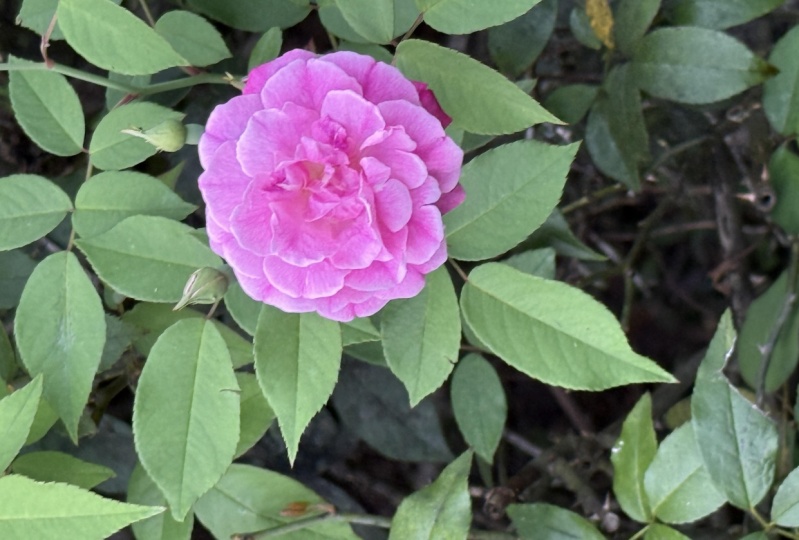 Nature photography