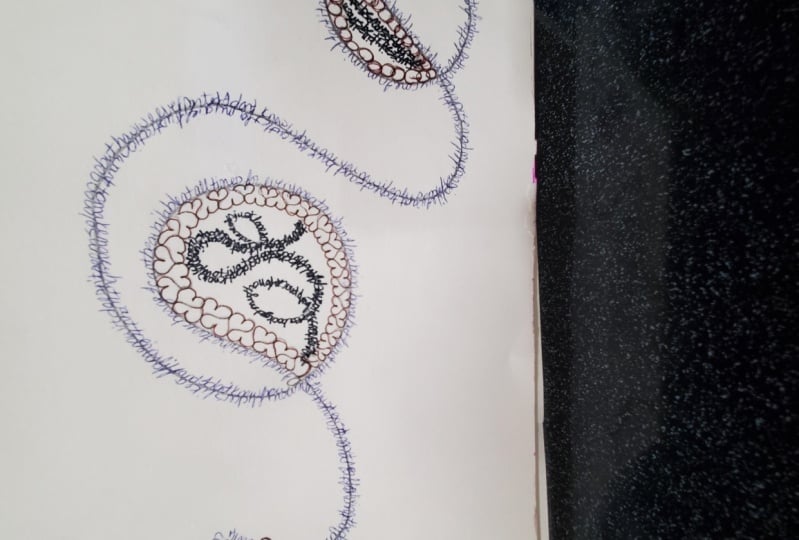 Expressive Journaling Project