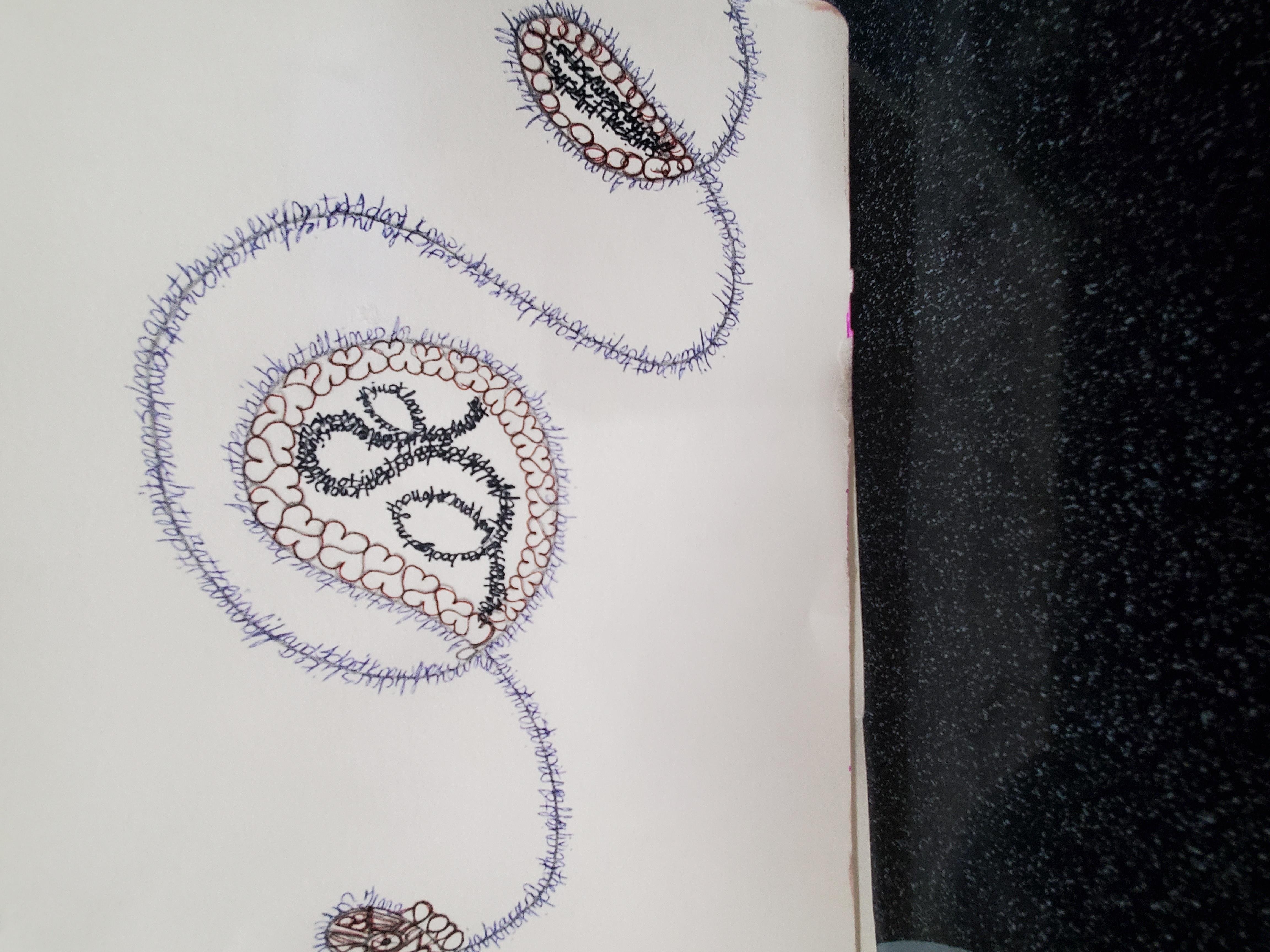 Expressive Journaling Project - student project