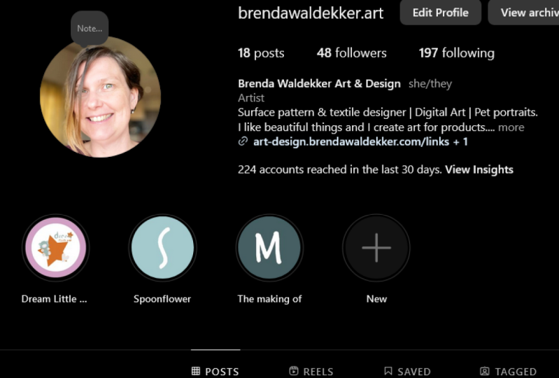 Instagram Profile