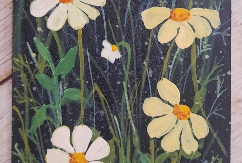 my first attempt on dasies
