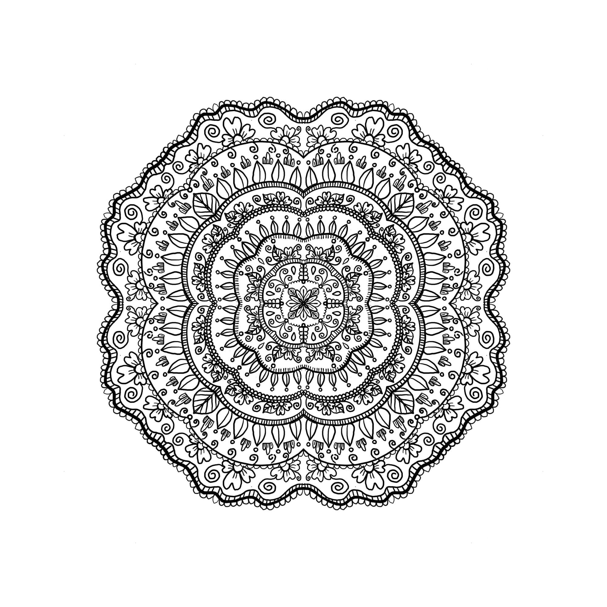 more-projects-from-class-img