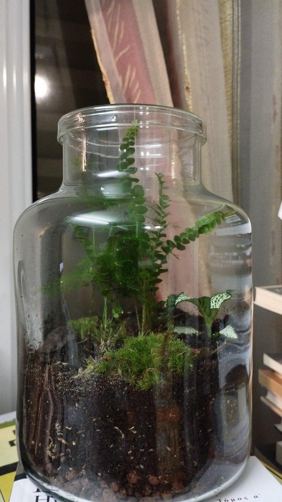 more-projects-from-class-img