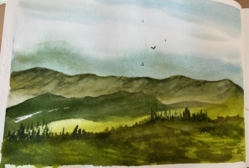 Landscape