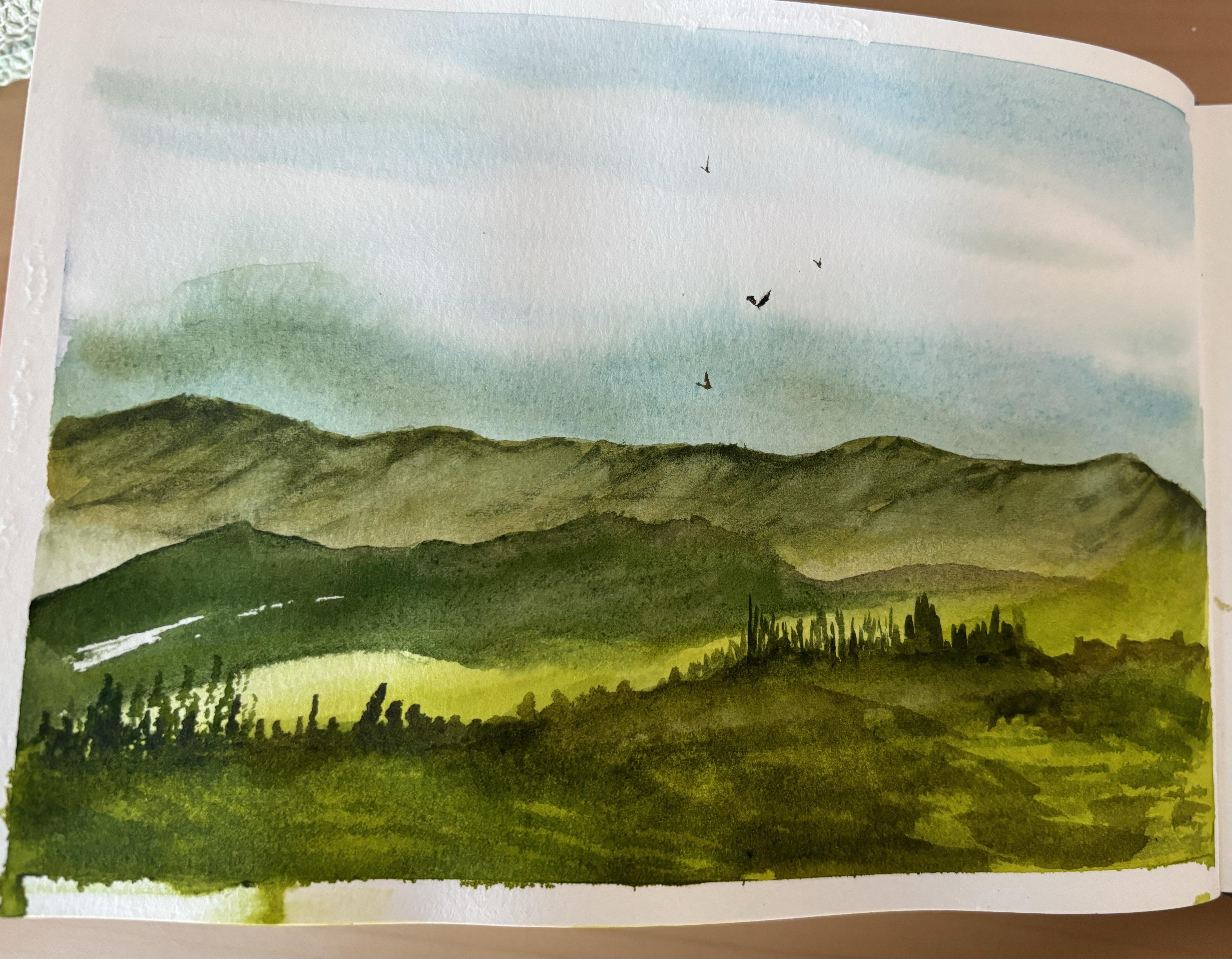 Landscape - student project