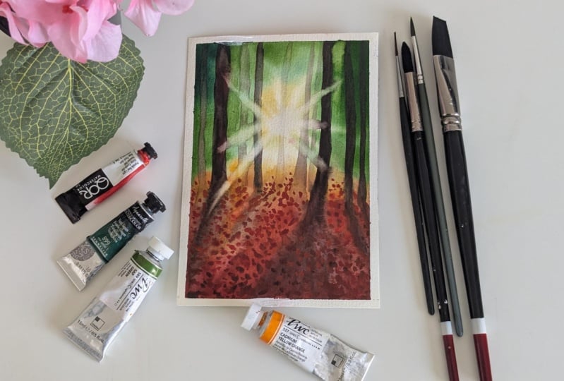 Autumn Light In the Woods