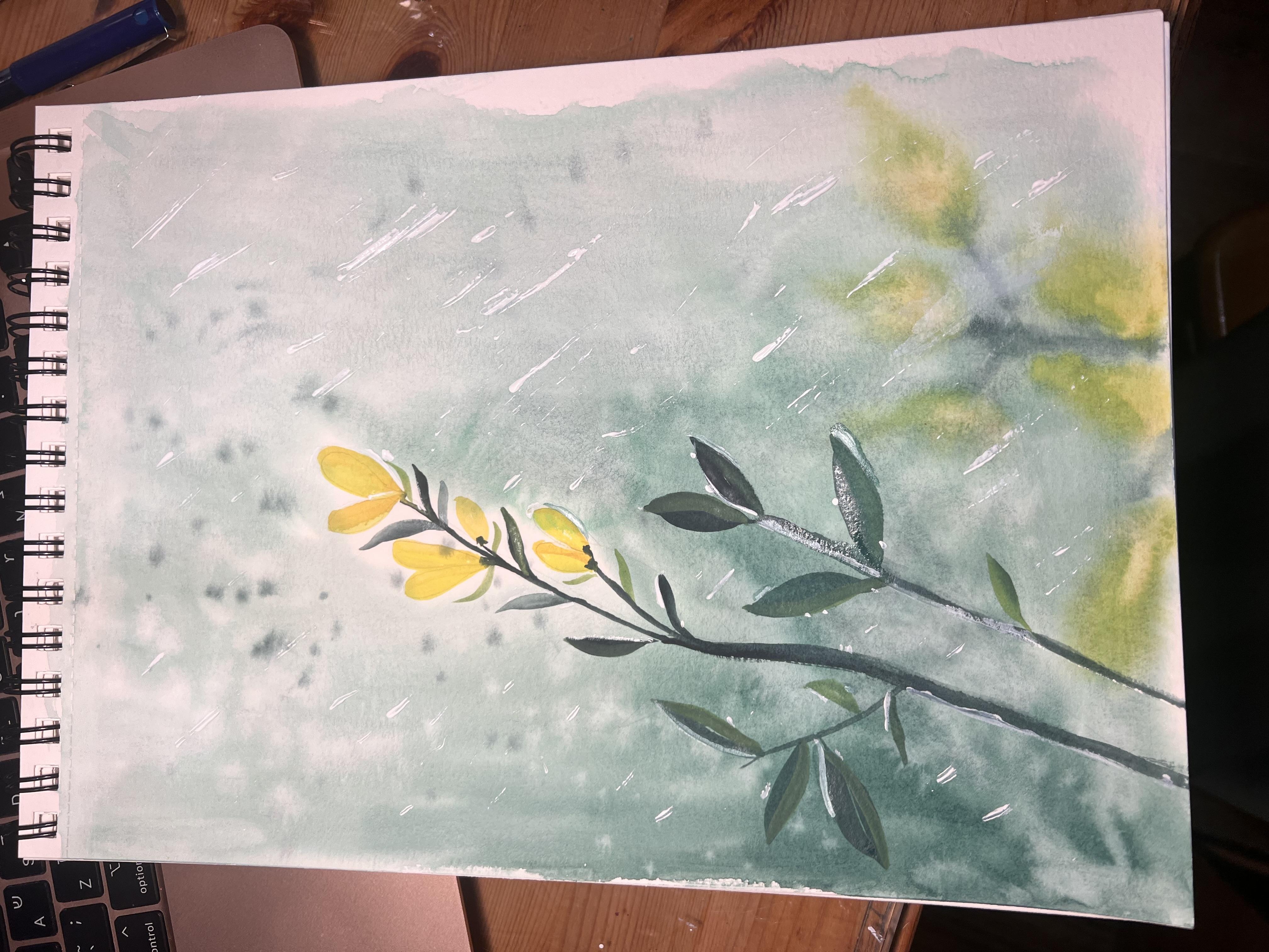 more-projects-from-class-img