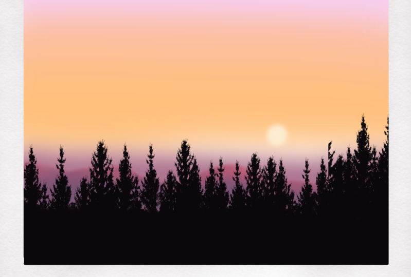 Day 2 Trees