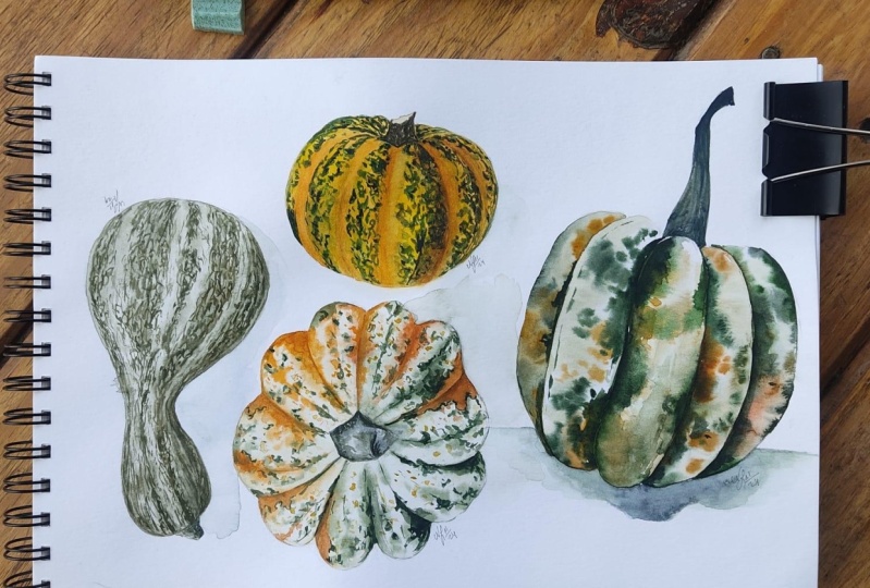 Watercolor Pumpkin