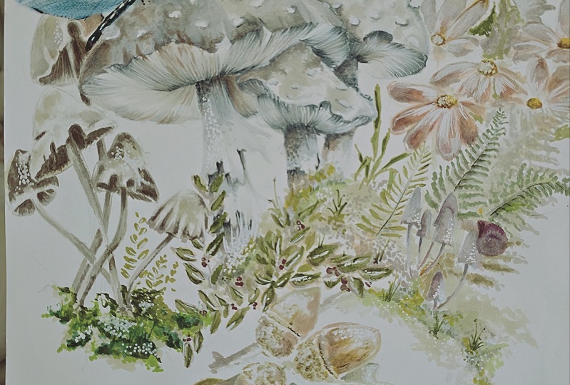 Ma shrooming drawing