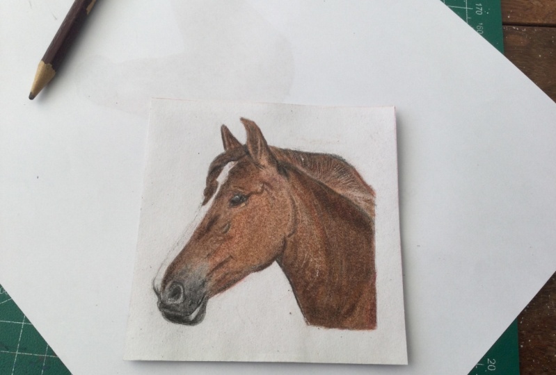 Pencil horse