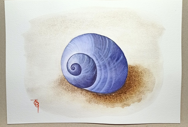 My daughter's seashell. .
