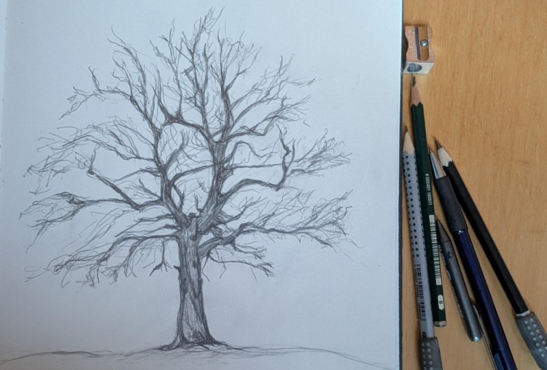 A lot of branches