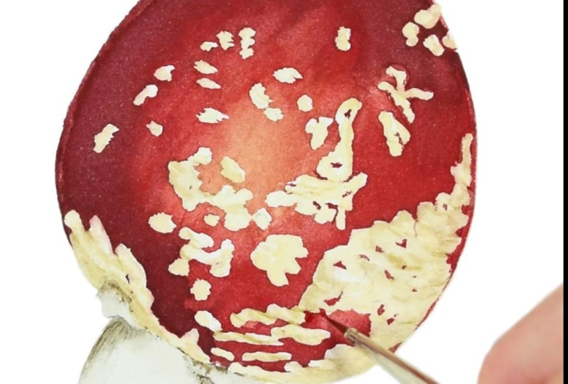 Red Mushroom