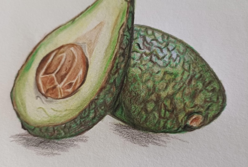 Detail and easy to understood