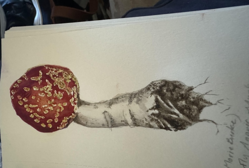 Fly Agaric