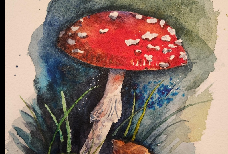 There are many mushrooms. . . but this is my mushroom