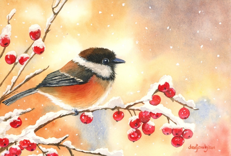 Winter Chickadee