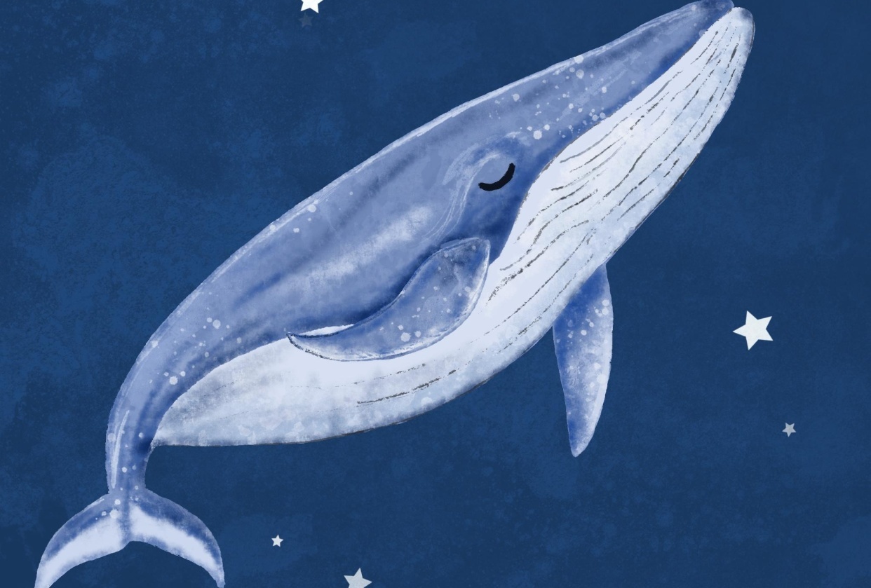 Dreamy Whale - student project