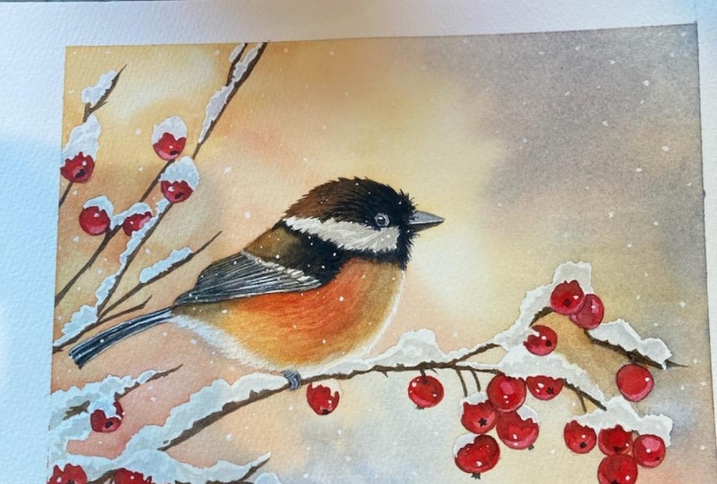 Chris' Chickadee