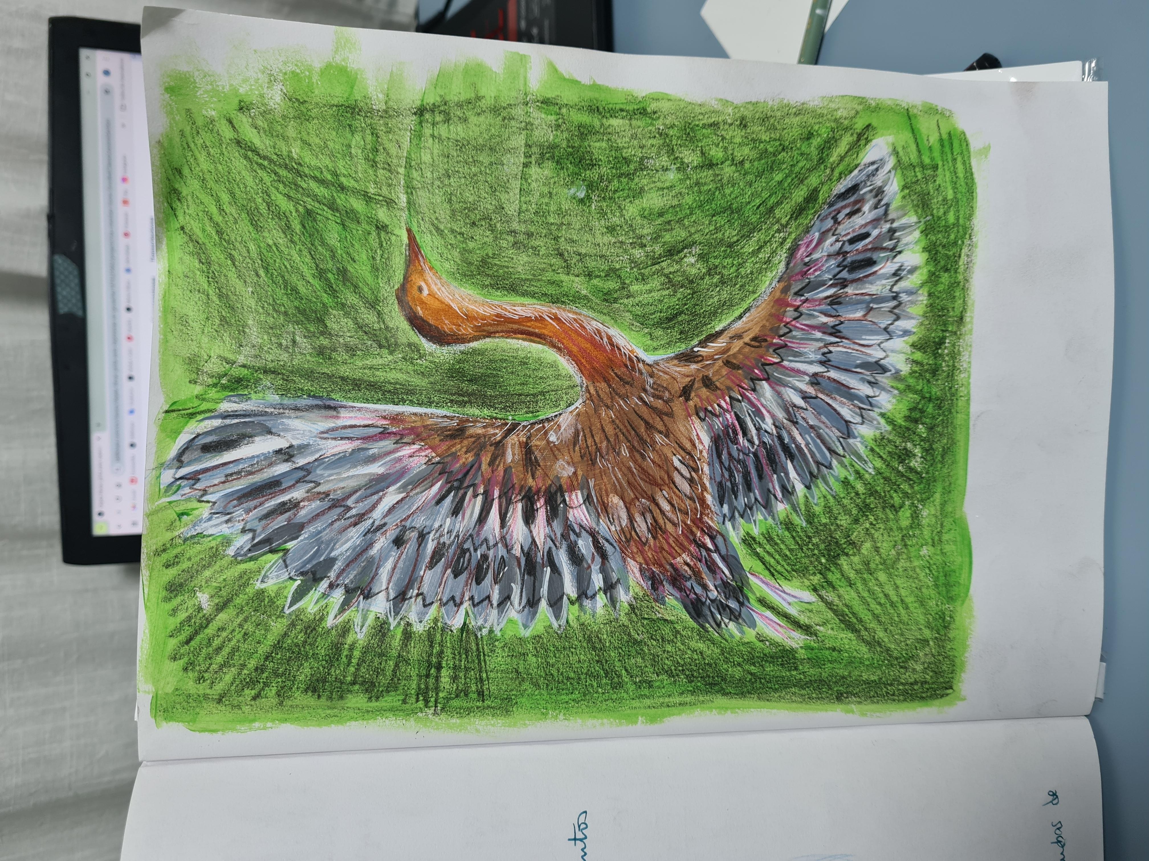 more-projects-from-class-img